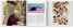 Andy Warhol: Polaroids