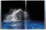 Michael Muller: Sharks, Face-to-Face with the Ocean's Endangered Predator