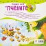 Открийте света на пчелите