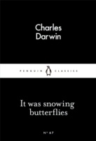 It Was Snowing Butterflies