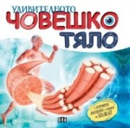 Удивителното човешко тяло