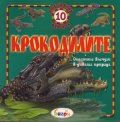 Крокодилите/ 10 любопитни факта