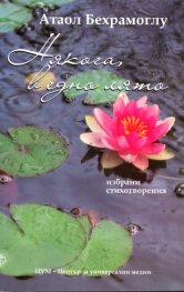 Някога в едно лято. Избрани стихотворения