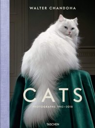 Walter Chandoha. Cats. Photographs 1942–2018