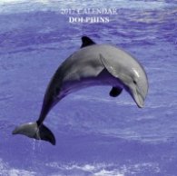Calendar 2017: Dolphins