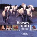 Horses/ 1001 Photos