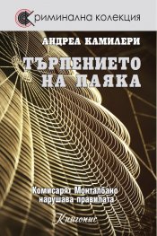 Търпението на паяка
