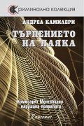 Търпението на паяка