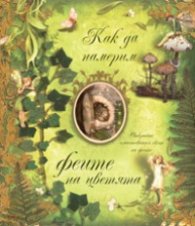 Как да намерим Феите на цветята: Открийте омагьосания свят на Феите