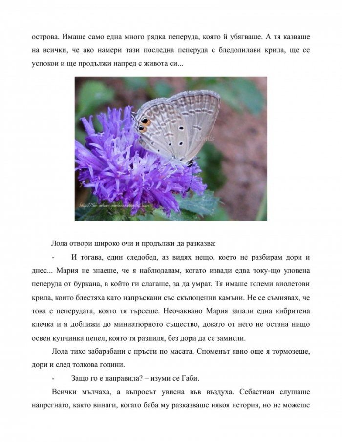 Мофонго: ароматът на душата