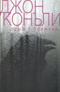 Душа в пламъци