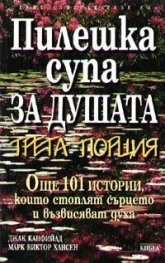 Пилешка супа за душата: Трета порция