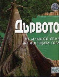 Дървото - от малкото семе до могъщата гора/ Енциклопедична поредица Кръговрати