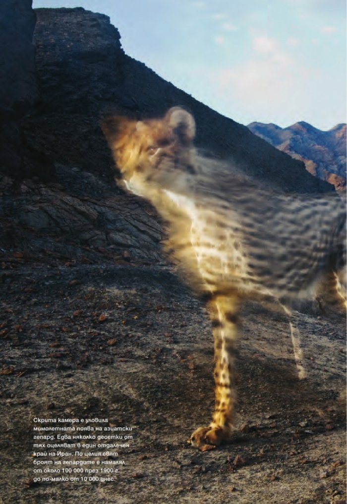 National Geographic 11/2012