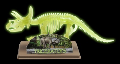Triceratops Skeleton 28209