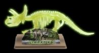 Triceratops Skeleton 28209