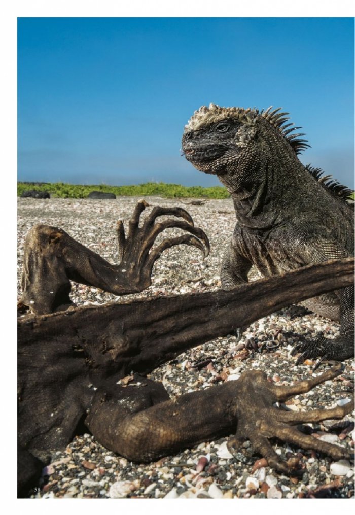 National Geographic България 09/2017