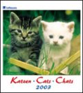 Календар 2003: Cats
