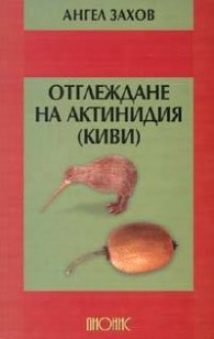 Отглеждане на актинидия /киви/
