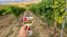 Българска енциклопедия на ВИНОТО (пето, актуализирано издание)