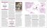 The History Book