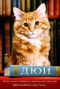 Дюи, котето от малката провинциална библиотека