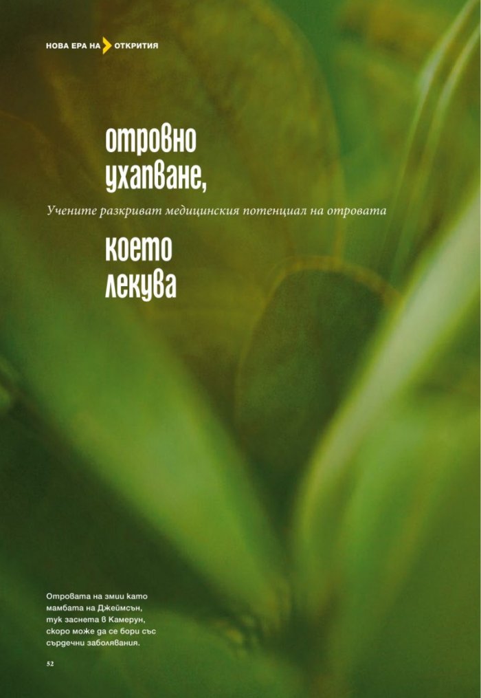 National Geographic 2/2013