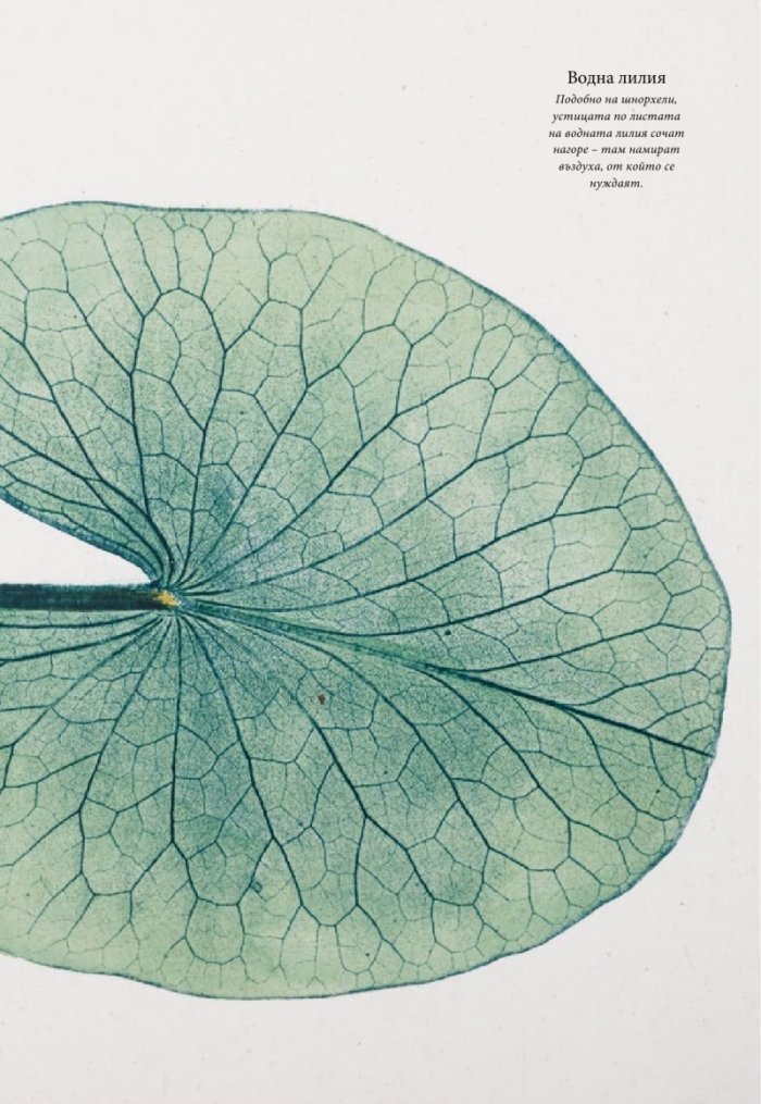 National Geographic 2/2013
