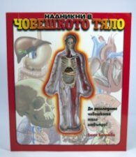 Надникни в човешкото тяло: Да разгледаме човешкото тяло отвътре