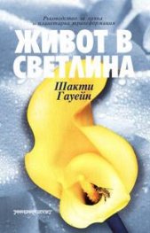 Живот в светлина