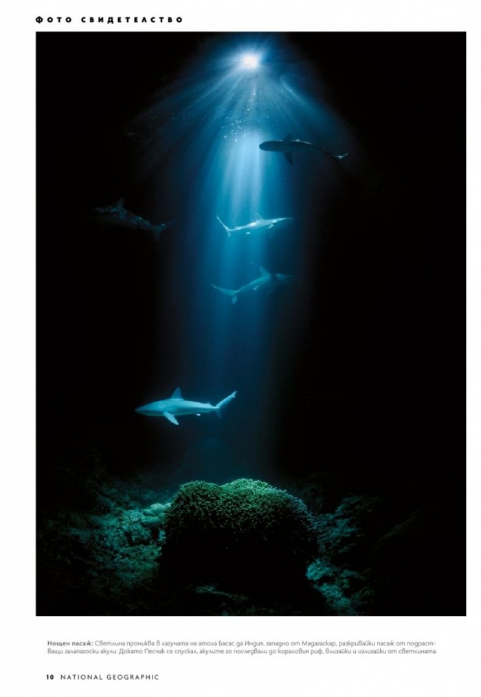National Geographic България Август/2023