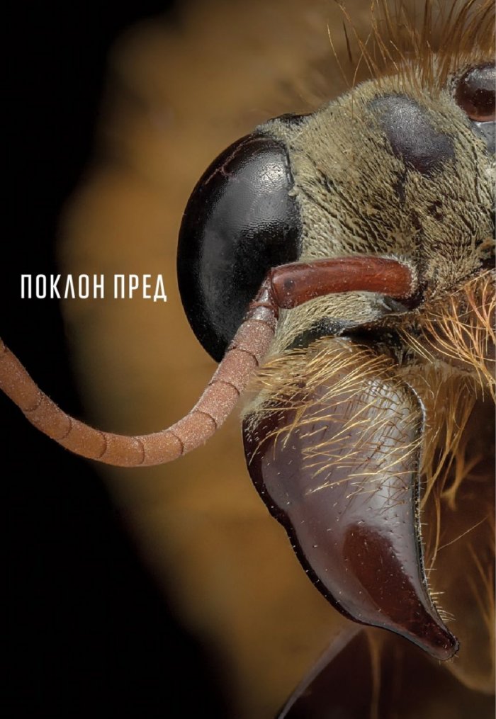 National Geographic България Август/2023