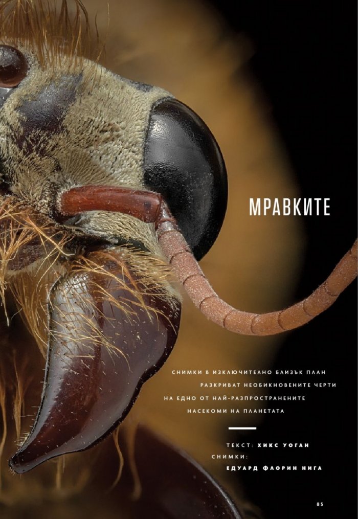 National Geographic България Август/2023
