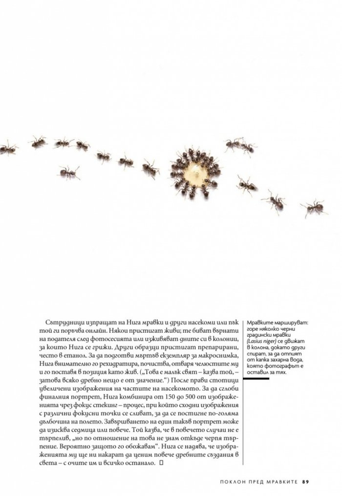 National Geographic България Август/2023