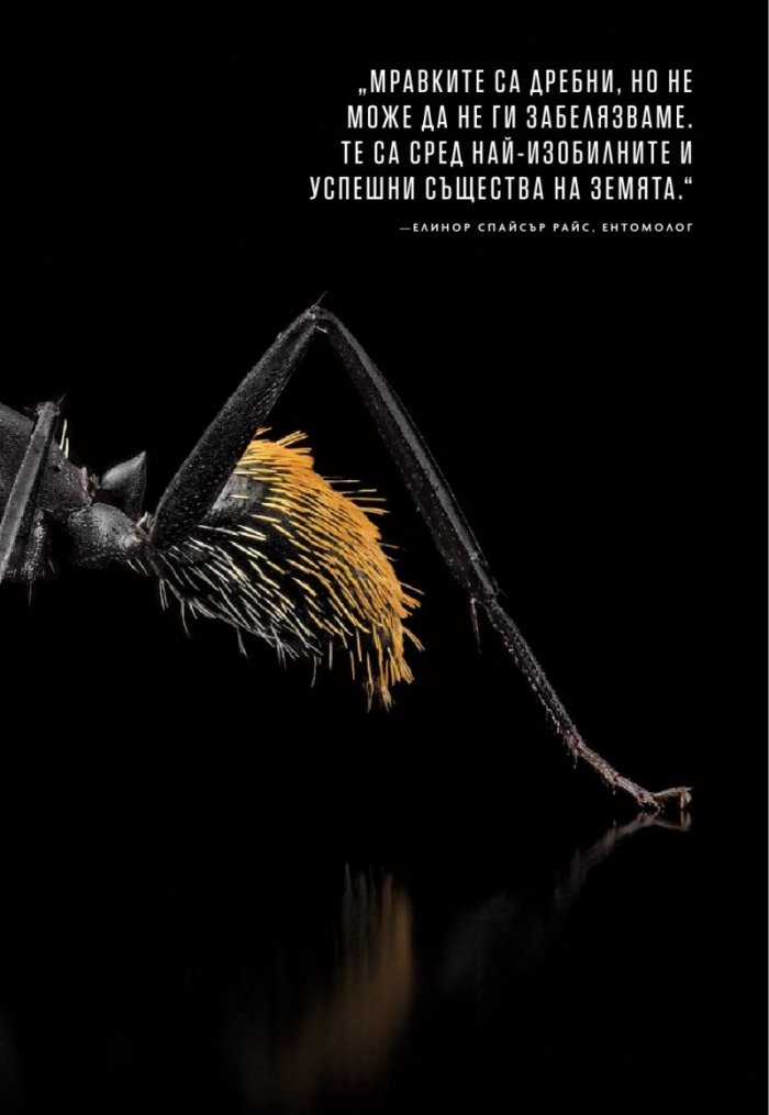National Geographic България Август/2023