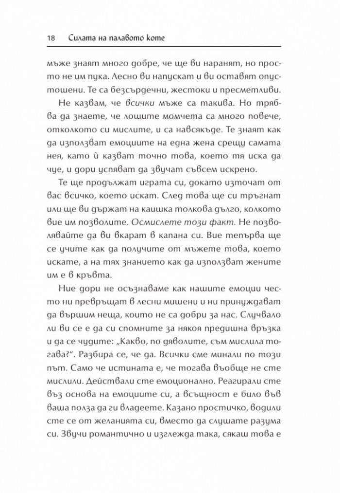 Силата на палавото коте