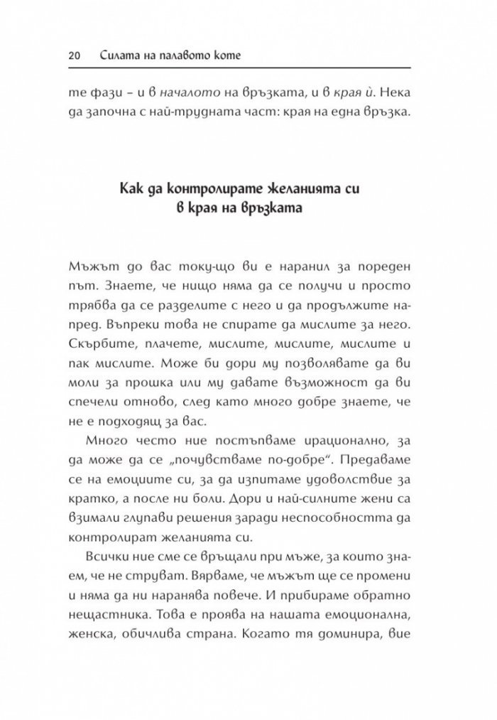 Силата на палавото коте