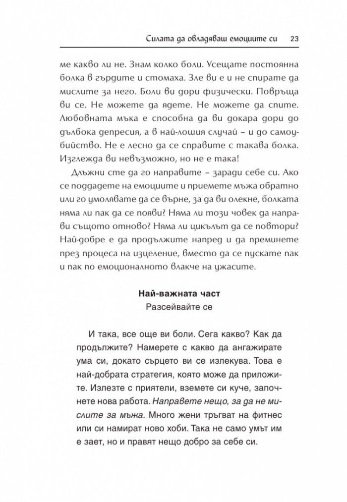 Силата на палавото коте