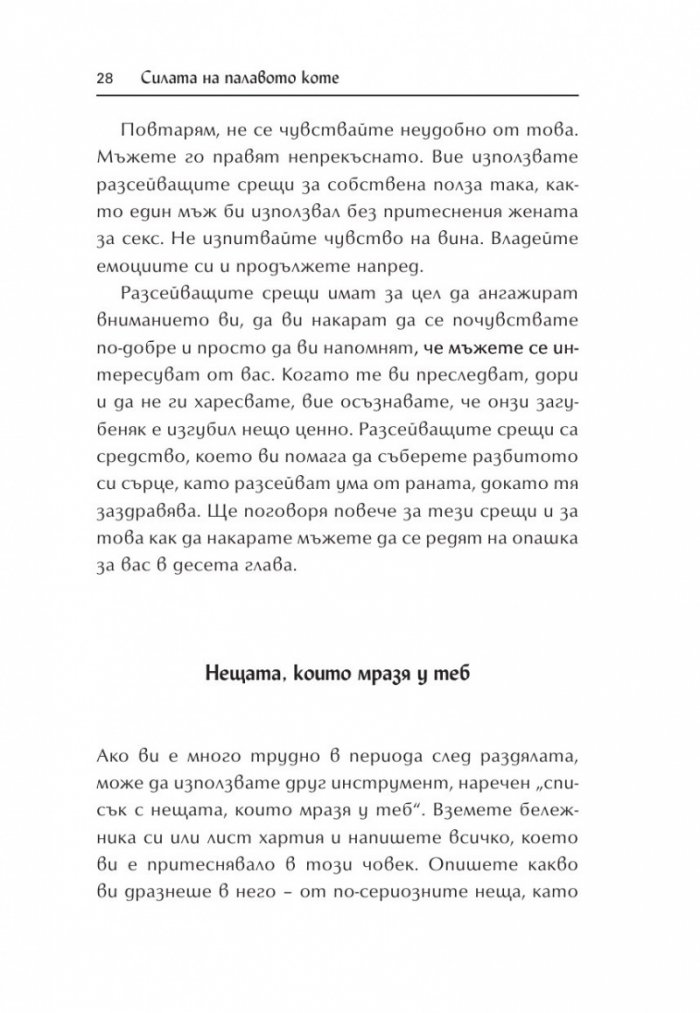 Силата на палавото коте
