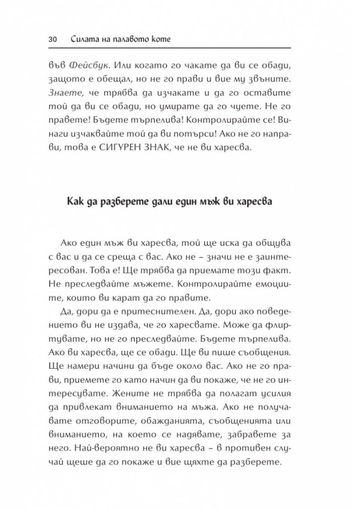Силата на палавото коте