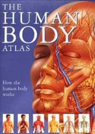 The Human Body Atlas