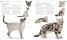 The Cat Encyclopedia