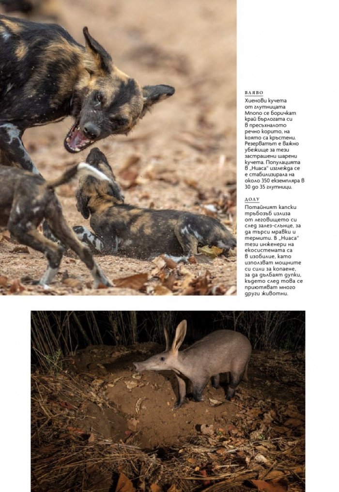 National Geographic България Октомври/2023