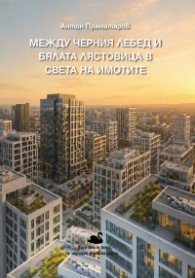 Между черния лебед и бялата лястовица в света на имотите