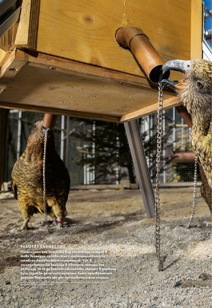 National Geographic България 05/2018