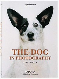 The Dog in photograrhy 1839 - Today