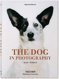 The Dog in photograrhy 1839 - Today