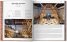 100 CONTEMPORARY BRICK BUILDINGS