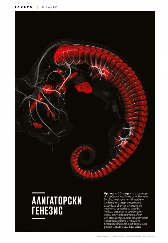 National Geographic България Април/2021