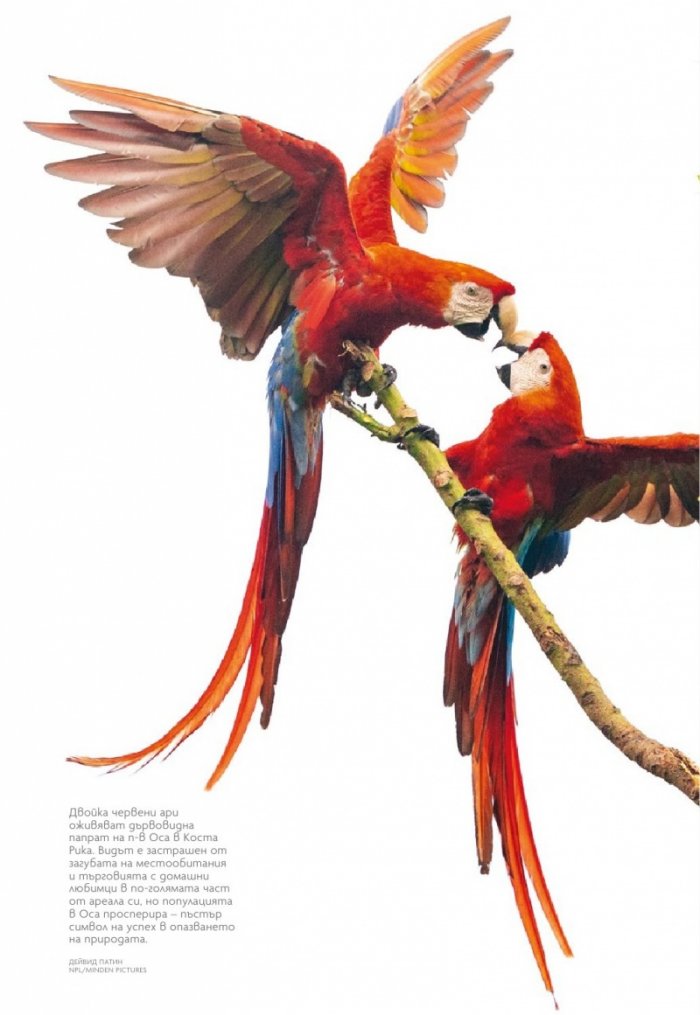 National Geographic България Април/2021
